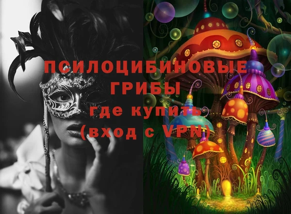 не бодяженный Белокуриха