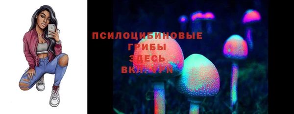 2c-b Богородицк