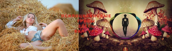 не бодяженный Белокуриха