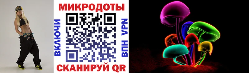 Галлюциногенные грибы Psilocybe наркотики кракен сайт Невель